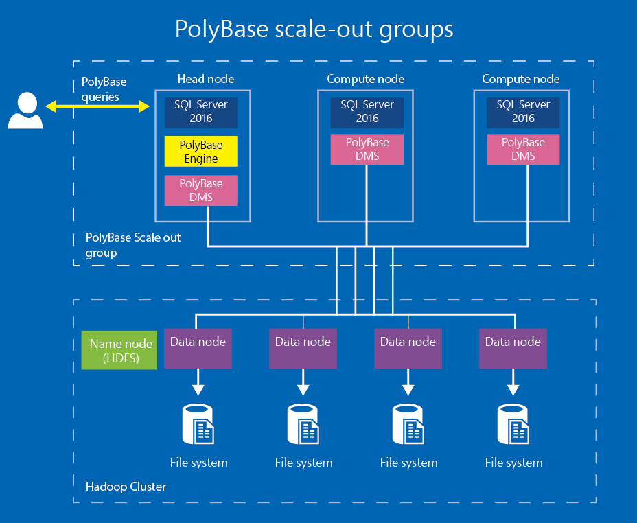 PolyBase scale-out groups