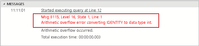 IDENTITY column Artihmetic overflow error