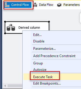 SSIS - Control flow - execute task