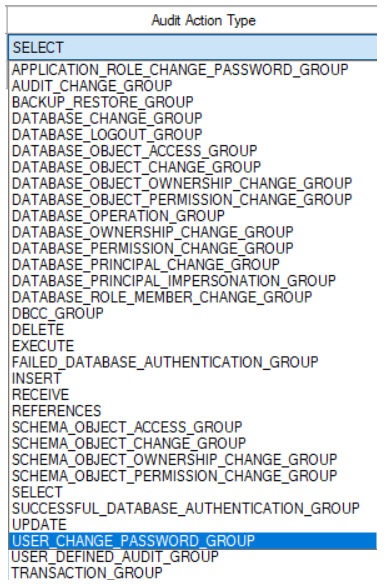 Database Audit Specification Actions and action groups
