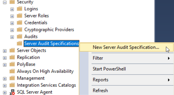New Server Audit Specification