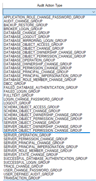 Server Audit Specification Action Groups