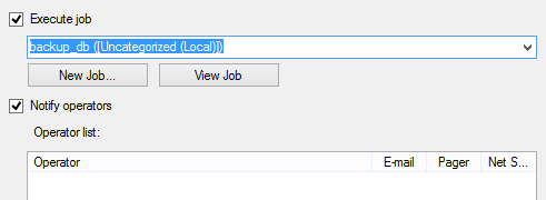 Dialog showing the Execute job option