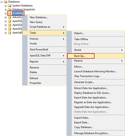 SQL Server Management Studio wizard offers options through the Back Up dialog