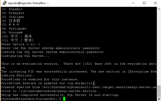 SQL Server 2019 installation on Ubuntu without a Docker Container