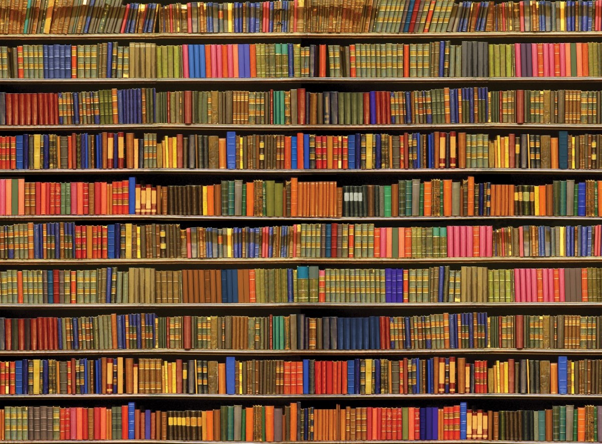 A full bookshelf representing a real-world analogy for indexes