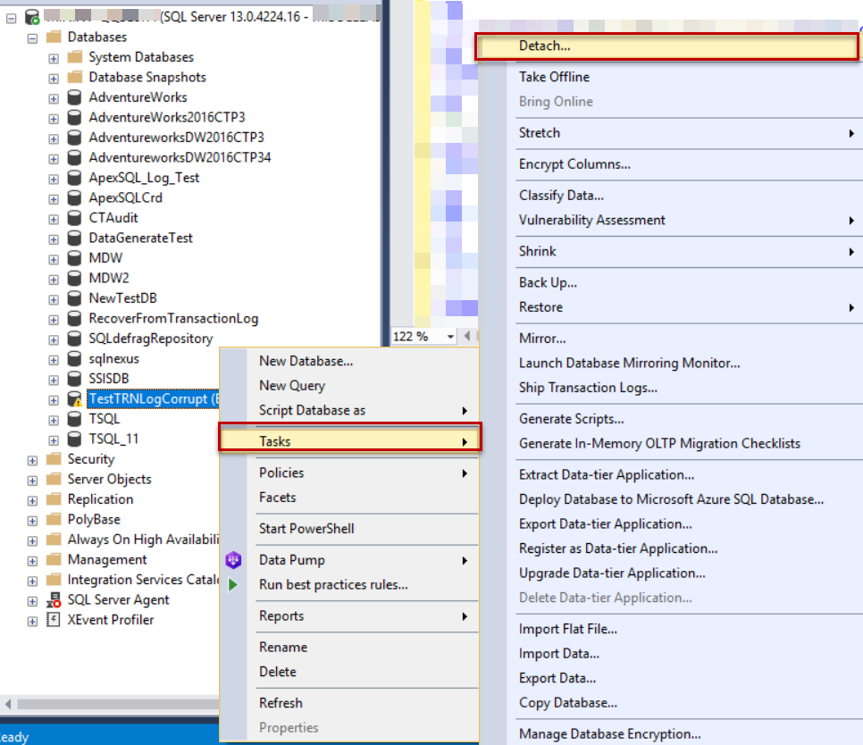 Detach the SQL Server database