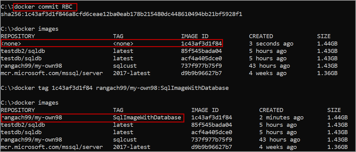 tag SQL server custom docker image