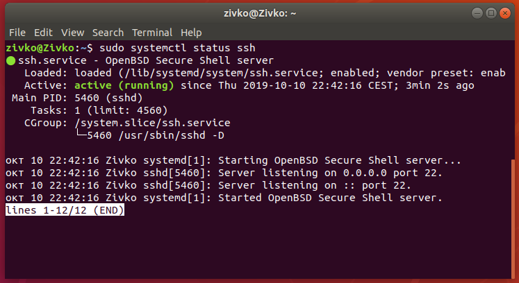 Linux Ubuntu 18.4  terminal - check ssh status