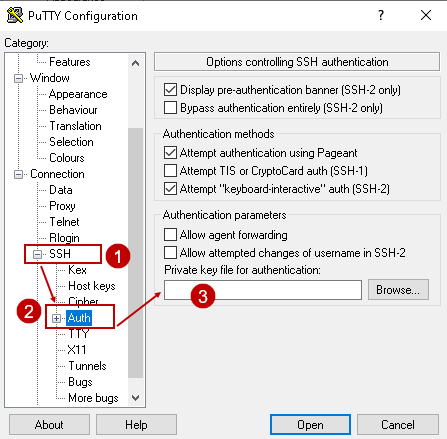 Click on Auth for connection with PPK file