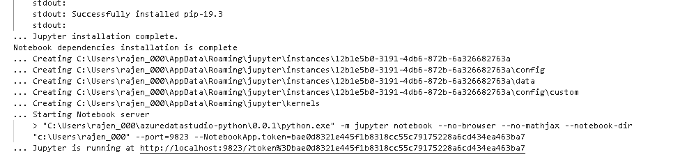 starts notebook Python kernel