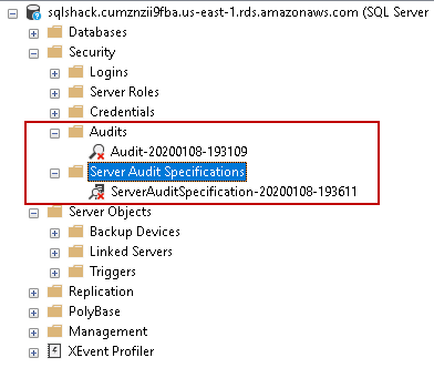 Configured Server Audit Specification 