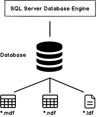 Architecture de base de données