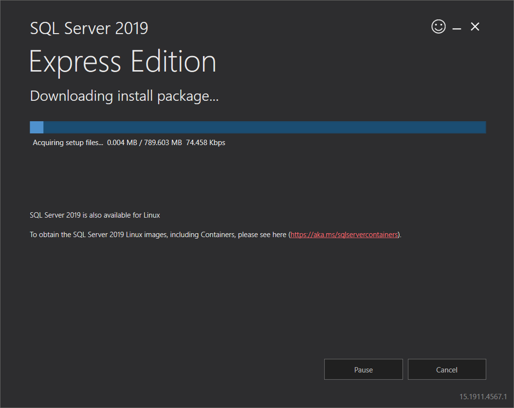 Downloading the SQL Server 2019 Express install package