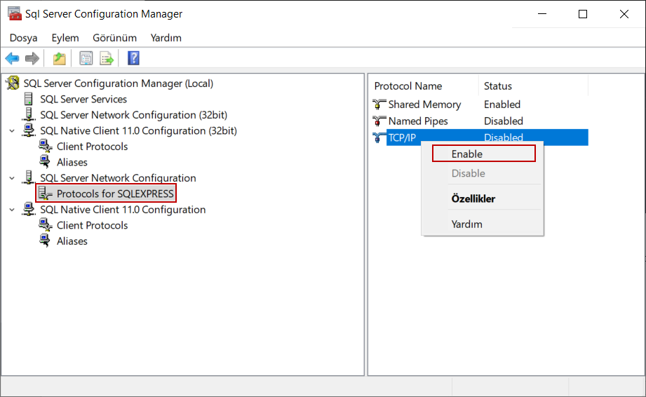 Enable TCP/IP connection for the SQL Server 