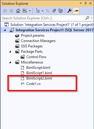 C# file within added within the solution explorer
