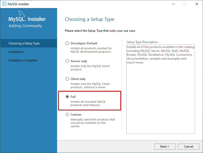 Choose the setup type for MySQL Database server