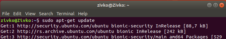 Linux Ubuntu 18.4 terminal - apt get update command