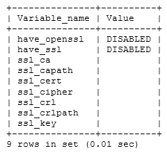 Status of SSL displayed in the terminal of a remote MySQL Server instance 