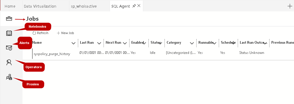 SQL agent options in ADS