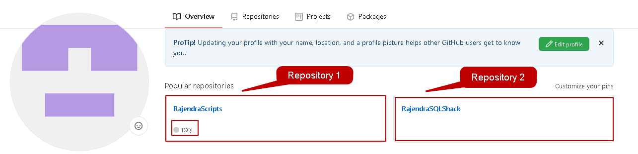 Multiple repository