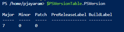 PowerShell automation - Get the Powershell version 