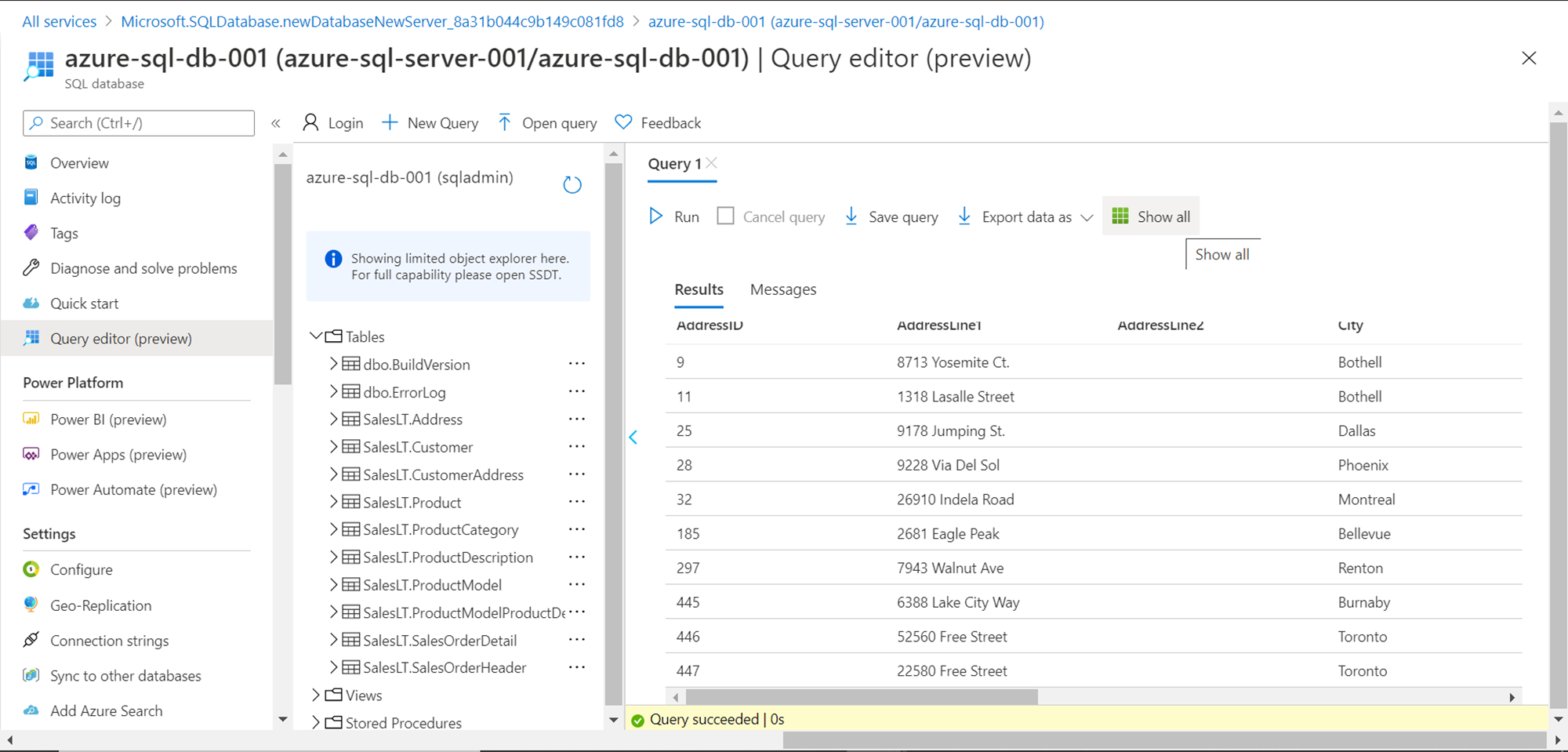 Azure SQL Server Database - Query Result
