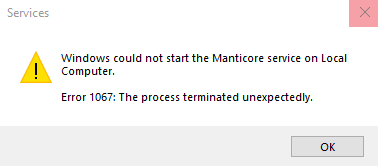 Windows service error message