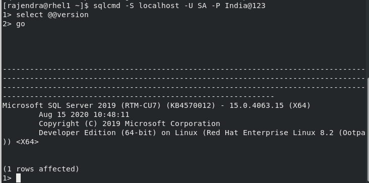 connect to the SQL 2019 Linux 