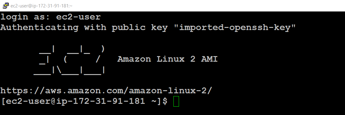 the Linux EC2 using the public DNS 