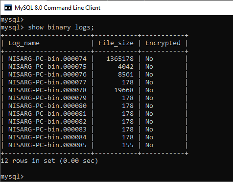 List of binary logs file