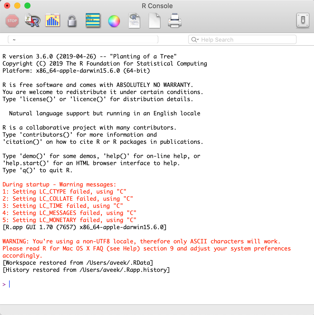 R Console Window on MacOS