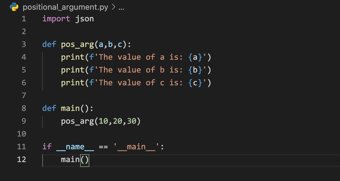 Positional Argument example in python