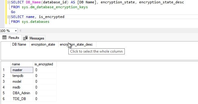 Check encryption state after removing database encryption key